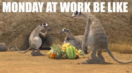 Monday At Work GIFs - Get the best GIF on GIPHY