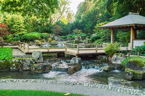 Japanese Garden In Augsburg Stock Photo - Download Image Now - iStock