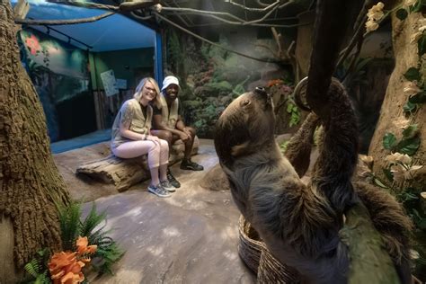 Sloth Valley habitat now open at Ripley's Aquarium of Myrtle Beach