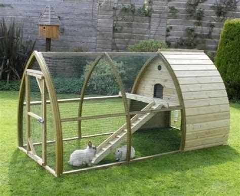 DIY Rabbit Hutch: Follow the easy steps to make your own | All Pet Care