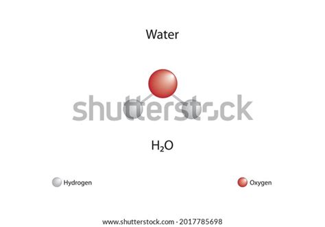 Molecular Formula Water Chemical Structure Water: เวกเตอร์สต็อก (ปลอด ...