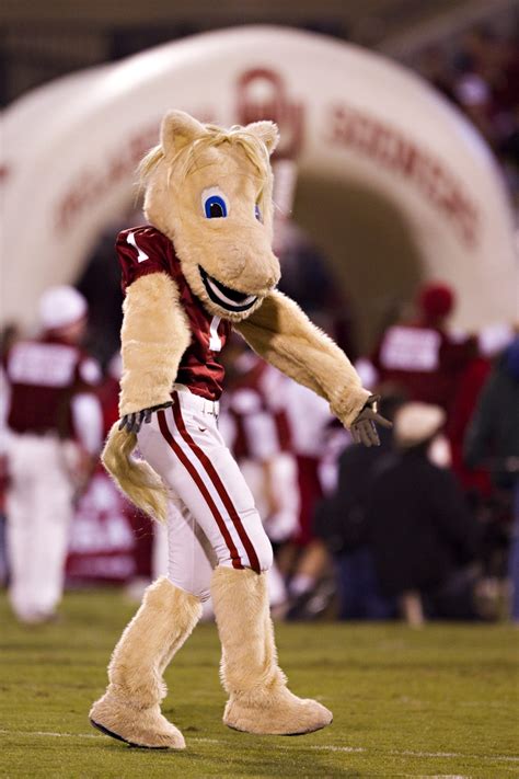 Oklahoma Sooners football once had a live canine mascot