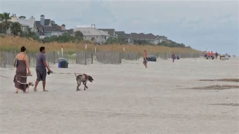 Where are dog-friendly beaches near Savannah? | WSAV-TV