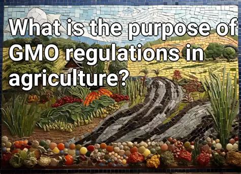 What is the purpose of GMO regulations in agriculture? – Agriculture ...