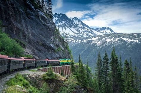 White Pass asks to spray herbicides along Yukon rail line | CBC News