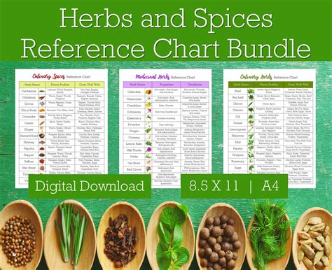 Herbs and Spices Reference Chart Bundle Spices and Herbs - Etsy Finland