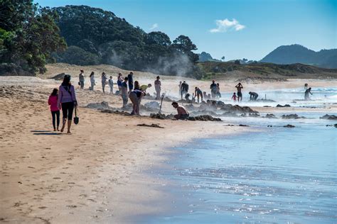 11 of the best New Zealand beaches worth exploring