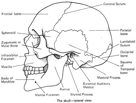 Facial Fracture Repair NYC | Facial Injuries New Jersey