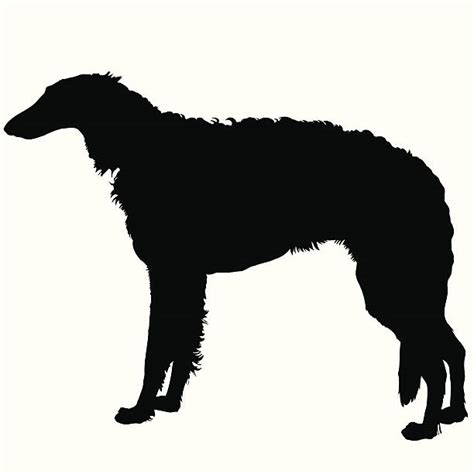 Irish Wolfhound Pic Silhouette Illustrations, Royalty-Free Vector ...