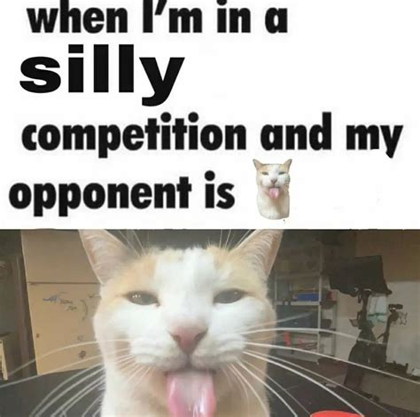 When I'm in a Silly Competition and My Opponent Is Bleh Cat | Silly ...