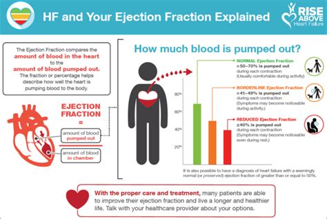 Ejection Fraction - Doctor's Corner - The Viking Heart Within