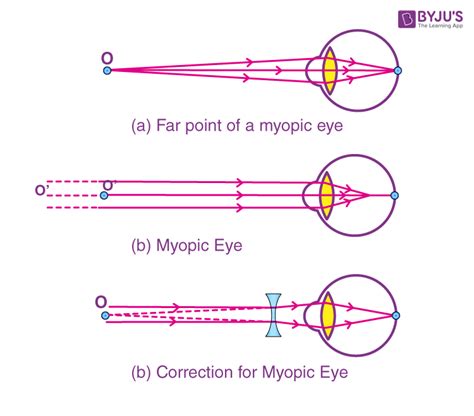 The Human Eye and the Colourful World, Class 10 Chapter 11 Science Notes