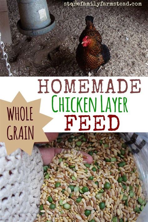 How to Make Non-GMO Chicken Layer Feed for Your Flock | Chicken feeders ...