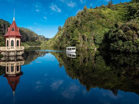 ZEALANDIA a Finalist in 2020 Community of the Year | Scoop News