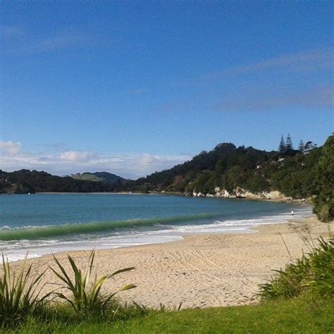 flaxhill beach at Whitianga http://admiraltylodge.co.nz/ simply ...