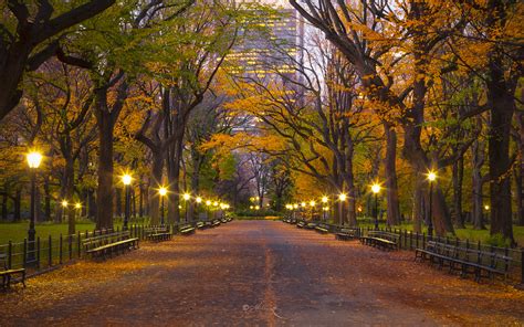 Fall Colors in Central Park #1 | Michael Zheng - 奔驰野马 | Flickr