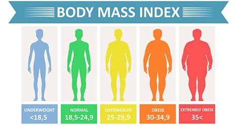 Body Mass Index (BMI) Poster | ubicaciondepersonas.cdmx.gob.mx