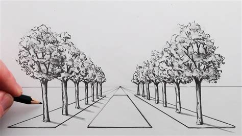 Top 999+ drawing trees images – Amazing Collection drawing trees images ...