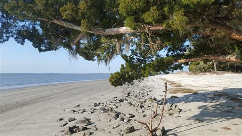 St. Andrews Beach Park • Jekyll Island, Georgia • Vacation ...