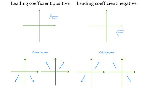 What are characteristics of polynomial graphs? | StudyPug