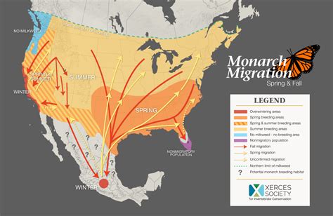 New Jersey’s Key Role in the Monarch Migration « Conserve Wildlife ...