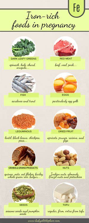 Top 10 Iron-Rich Foods in Pregnancy [Pregnancy diet]