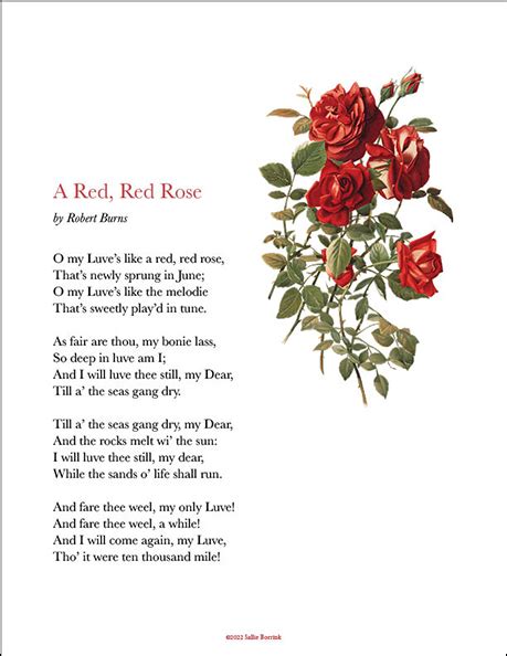 “A Red, Red Rose” by Robert Burns | Sallie Borrink