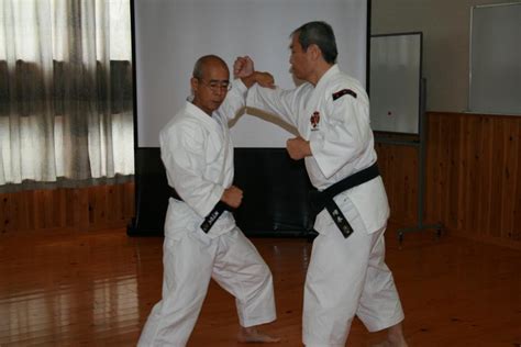 Learning about Shorinji Kempo » World Campus International Blog