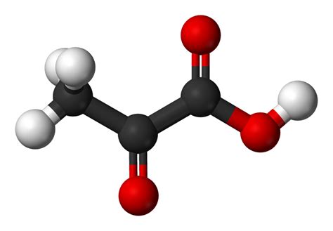 Difference Between Pyruvate and Pyruvic Acid | Compare the Difference ...