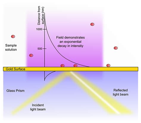 XanTec bioanalytics GmbH | Tech notes | Principles of SPR