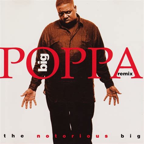 The Notorious B.I.G. – Big Poppa (Remix) (1995, CD) - Discogs