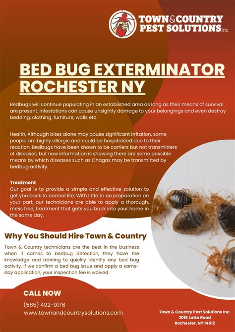 PPT - bed bug exterminator rochester ny PowerPoint Presentation, free ...