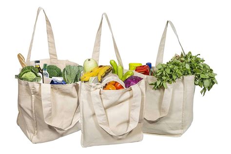 The 11 Best Reusable Grocery Bags of 2024