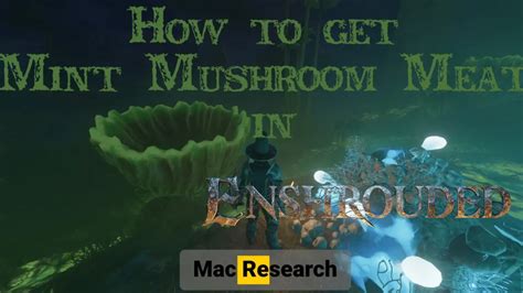 How To Get Enshrouded Mint Mushroom Meat