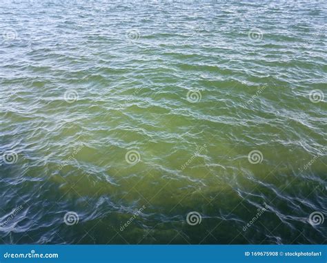 Waves in Murky Blue and Green Water in Lake Stock Photo - Image of ...