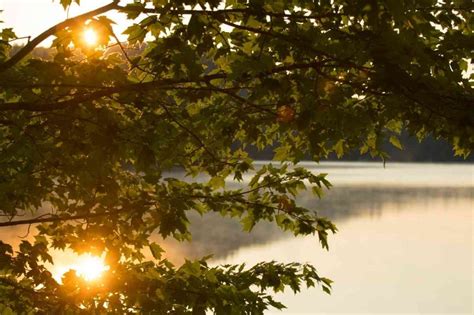 Stunning Lakes in New Hampshire to Add to Your Bucket List