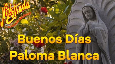 Buenos Días Paloma Blanca - Nini Estrada (Letra, Lyrics) Chords - Chordify