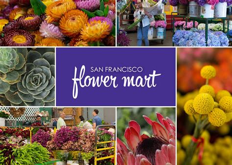 San Francisco Flower Market is open - The Blissful Gardeners