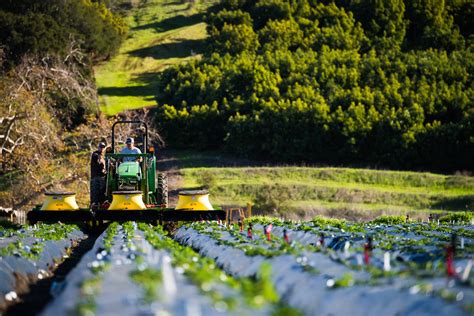 BioResource and Agricultural Engineering | Senior Projects | California ...