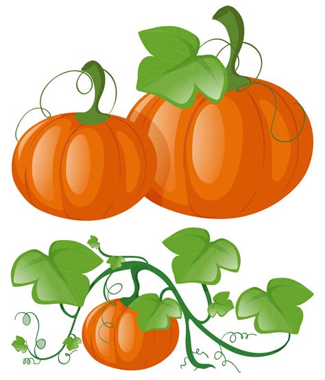 Pumpkin Vines Free Vector Art - (14 Free Downloads)