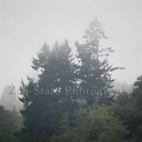 Rain Forest Nature Print Wall Art. Foggy Morning Rainforest - Etsy