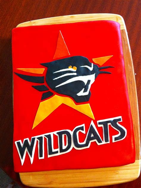 Perth Wildcats cake for Jason's birthday. 8th Birthday, Birthday Ideas ...