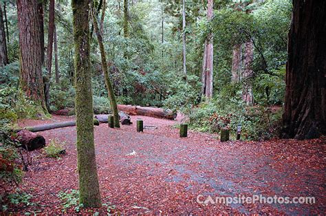 Portola Redwoods State Park - Campsite Photos, Campsite Availability