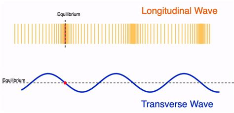 Longitudinal and Transverse Waves – Physics Lens