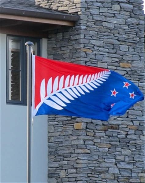 Compliments for the silver fern flag - Silver Fern Flag