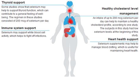 Selenomethionine Health Benefits & Uses | Xtend Life - Xtend-Life ...