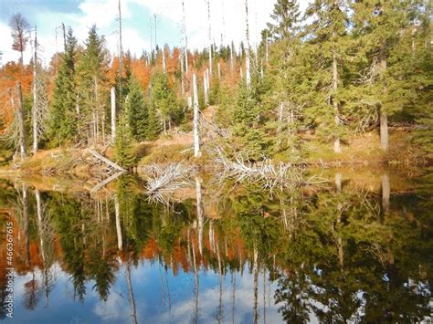 Lake Laka with floating islands on the surface is the smallest ...