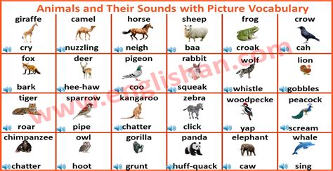 Sounds of Animals 94, Sound of Animals, Animals Sounds and Pictures, A ...