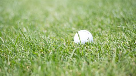 Download wallpaper 1600x900 golf, ball, grass, sport widescreen 16:9 hd ...