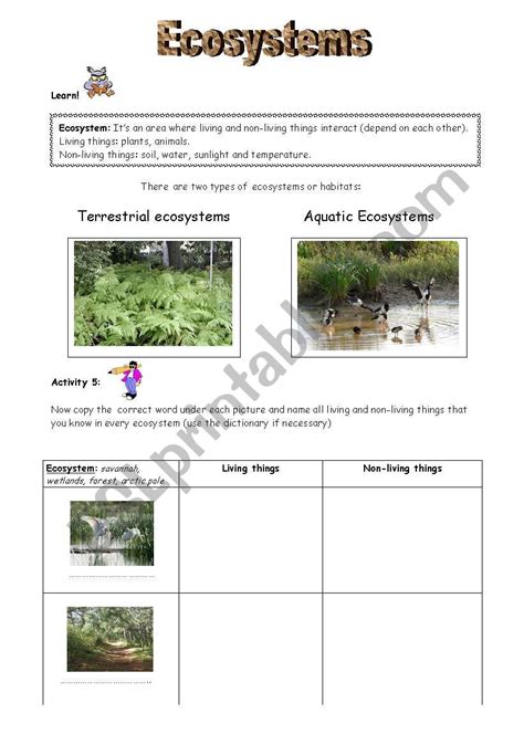 41 water and aquatic ecosystems worksheet answers - Worksheet Master